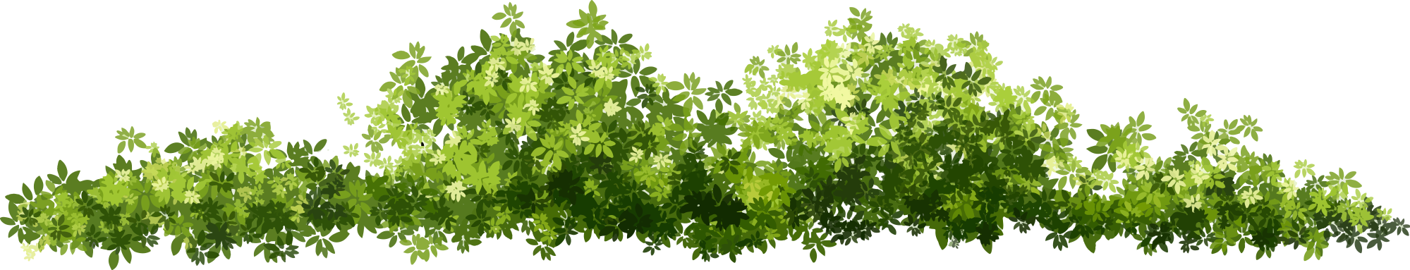 Botes-Treefelling---Website-Concept_0008_Vector-Smart-Object